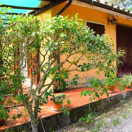 Apartment Lacona