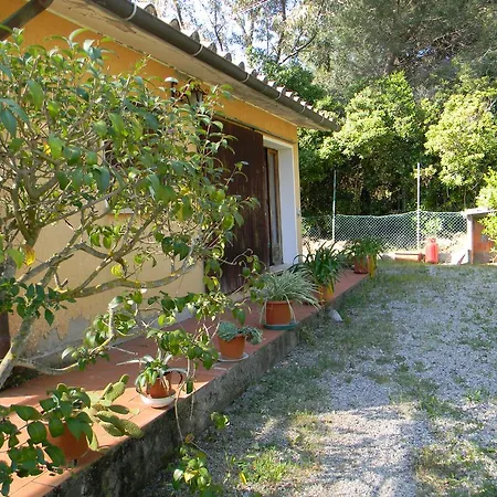 Apartment Lacona *